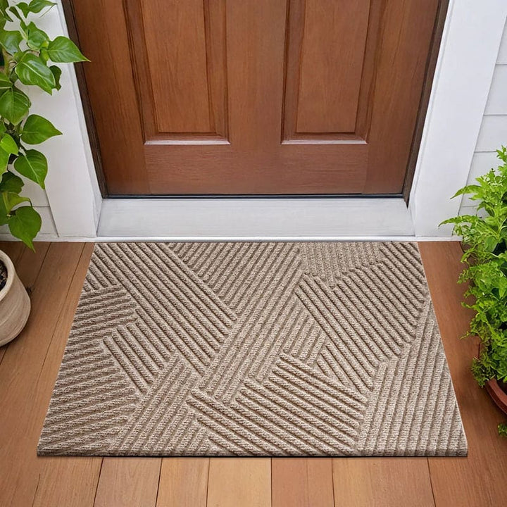 Beige geometric entryway rug placed at front door with potted plants on each side.
