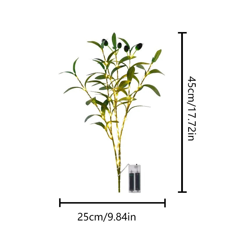 Specification Image 1
