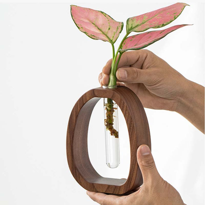 Wooden flower vase with a clear glass base holding a pink leafed plant on a white background