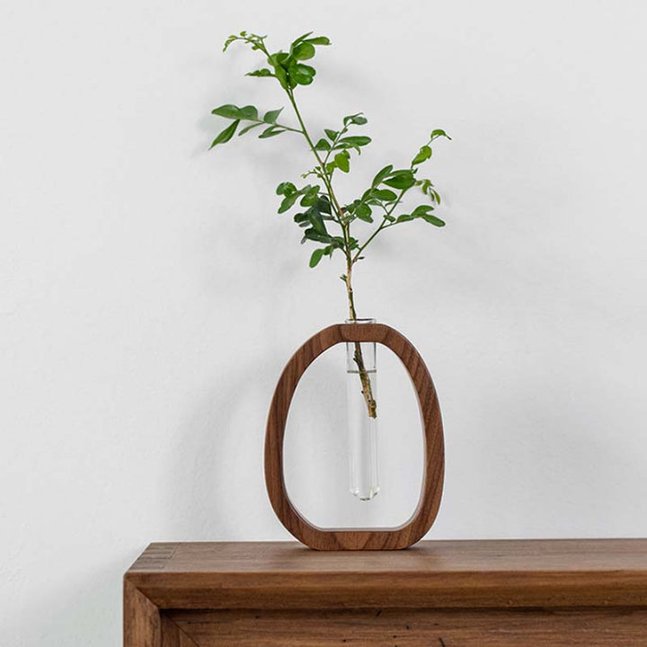Wooden vase with a clear glass base containing a green plant on a wooden surface with a white background