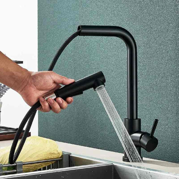 Matte black pull-out kitchen faucet with flexible sprayer in modern sink setup.
