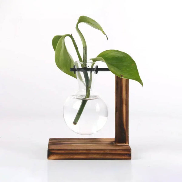 Single bulb glass vase on L-shaped dark wood stand, 12.5cm tall, ideal for minimalist hydroponic plant display.