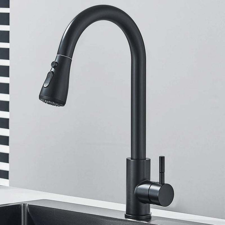 Matte black pull-out kitchen faucet with curved spout and minimalist modern design.