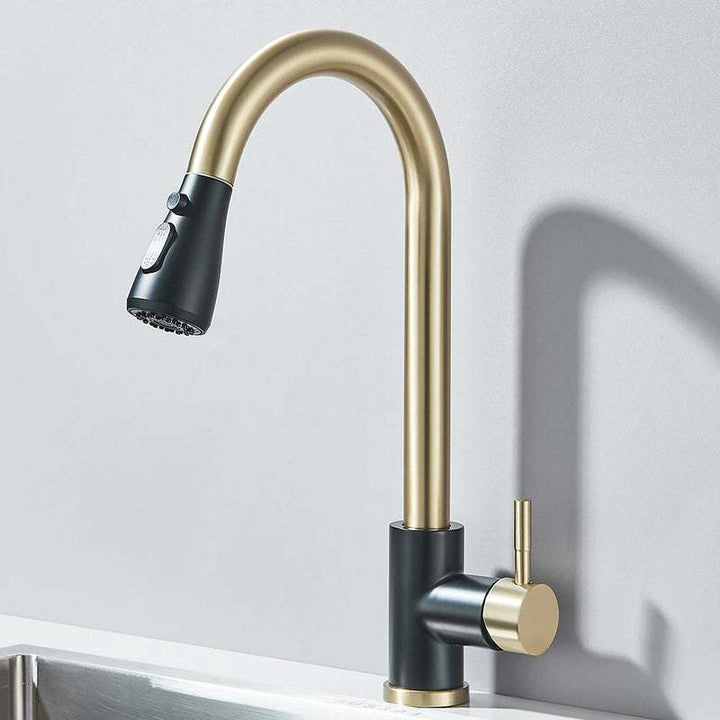 Two-tone gold and black pull-out kitchen faucet with dual spray head.