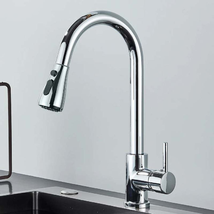 Chrome pull-out kitchen faucet with polished finish and tall curved spout.