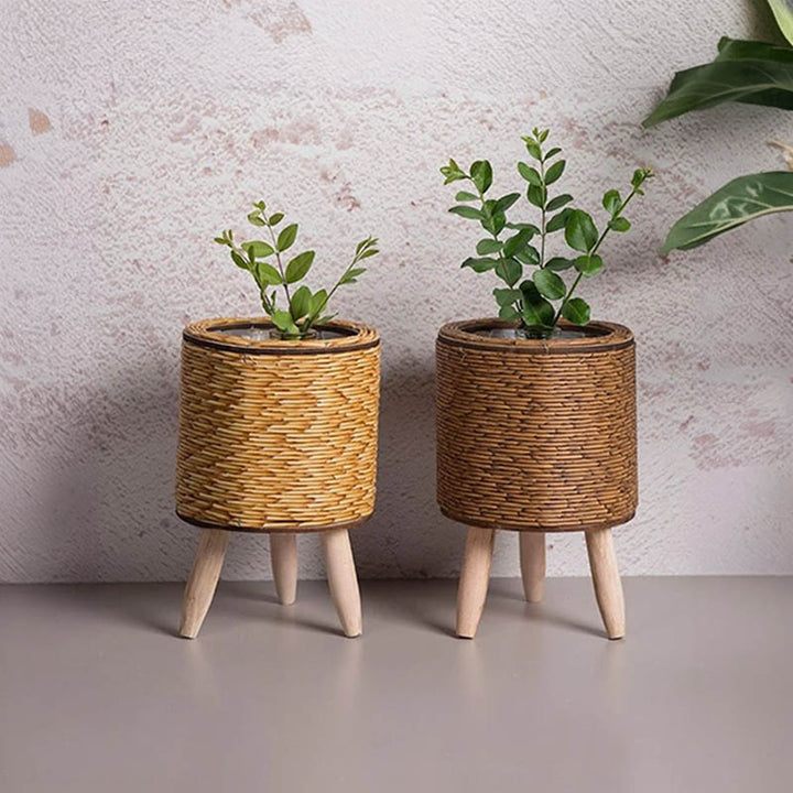 Cylindrical rattan plant baskets with short wood legs, natural finish, styled with succulents, Nordic Essentials uk