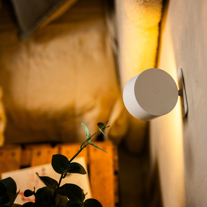 Smart home device attached to a wall with a plant in the foreground