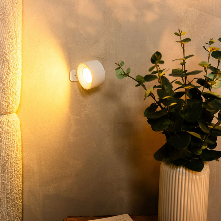 Wall-mounted light fixture on a textured wall with a plant in the foreground