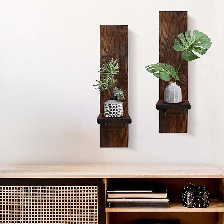 Two wooden wall shelves with plants against a white wall.