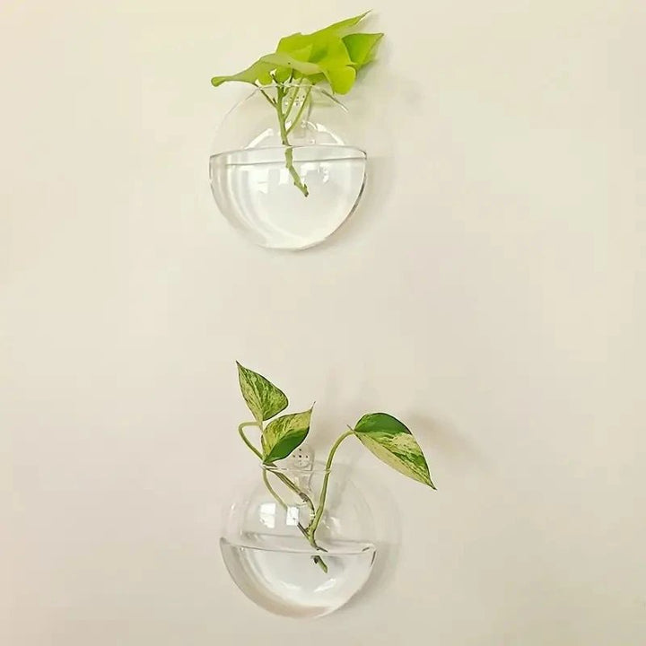 Two wall-mounted glass planters with green plants against a beige wall.