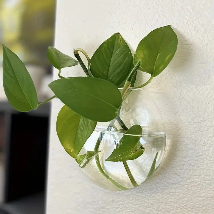 Clear wall-mounted glass vase with green leaves against a white textured wall